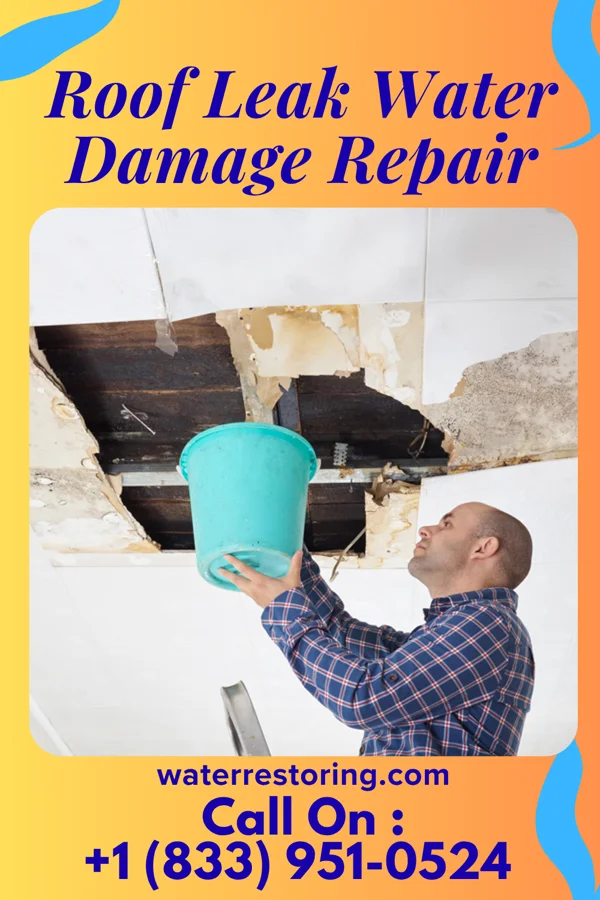Roof Leak Water Damage Repair in Woodsville, NY