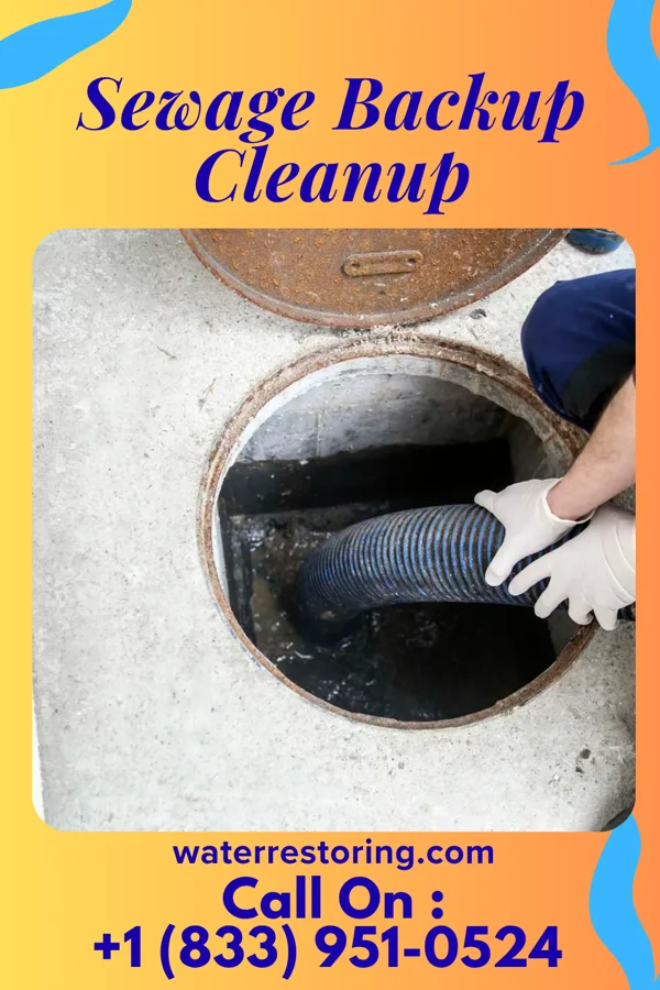 Sewage Backup Cleanup in Woodsville, NY